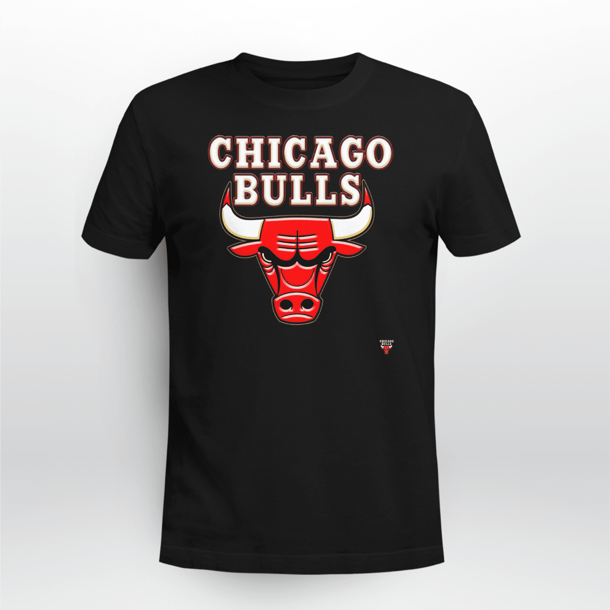 CHICAGO BULLS DISTRESSED