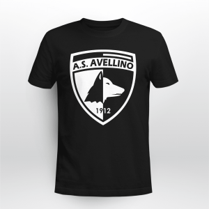 Unione Sportiva Avellino Italy Italia Calcio Football