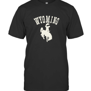 Vintage 90s Wyoming Hanes Beefy T-Shirt