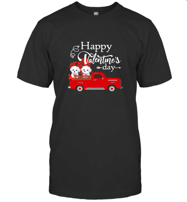 Valentine2 T-Shirt