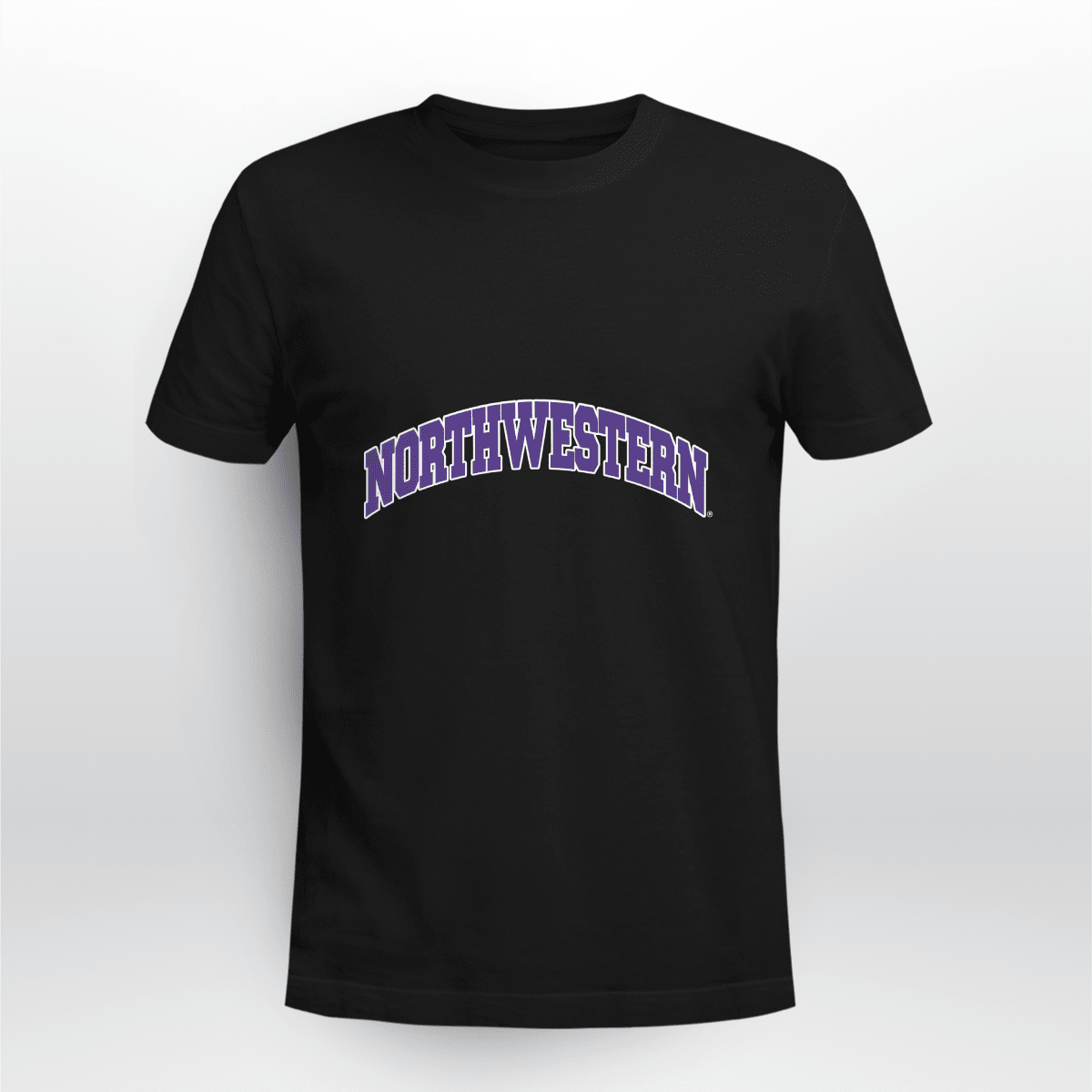 Northwestern University Wildcats