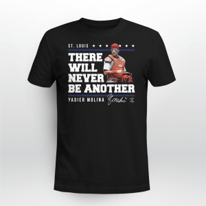 There Will Never Be Another