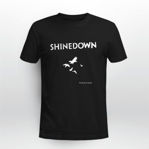 SHINEDOWN THE SOUND OF MADNESS COPY
