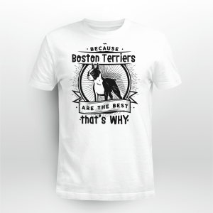 Boston Terrier black