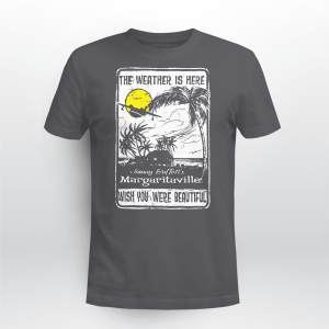 JIMMY BUFFET MARGARITAVILLE BACK
