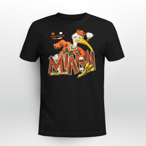 UNIVERSITY OF MIAMI HURRICANES FOOTBALL 2