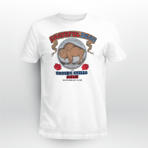 GRATEFUL DEAD 1990 BUFFALO BACK
