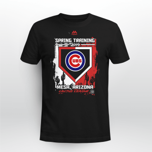 CHICAGO CUBS ROYAL 2019 SPRING TRAINING BASE ON BALL